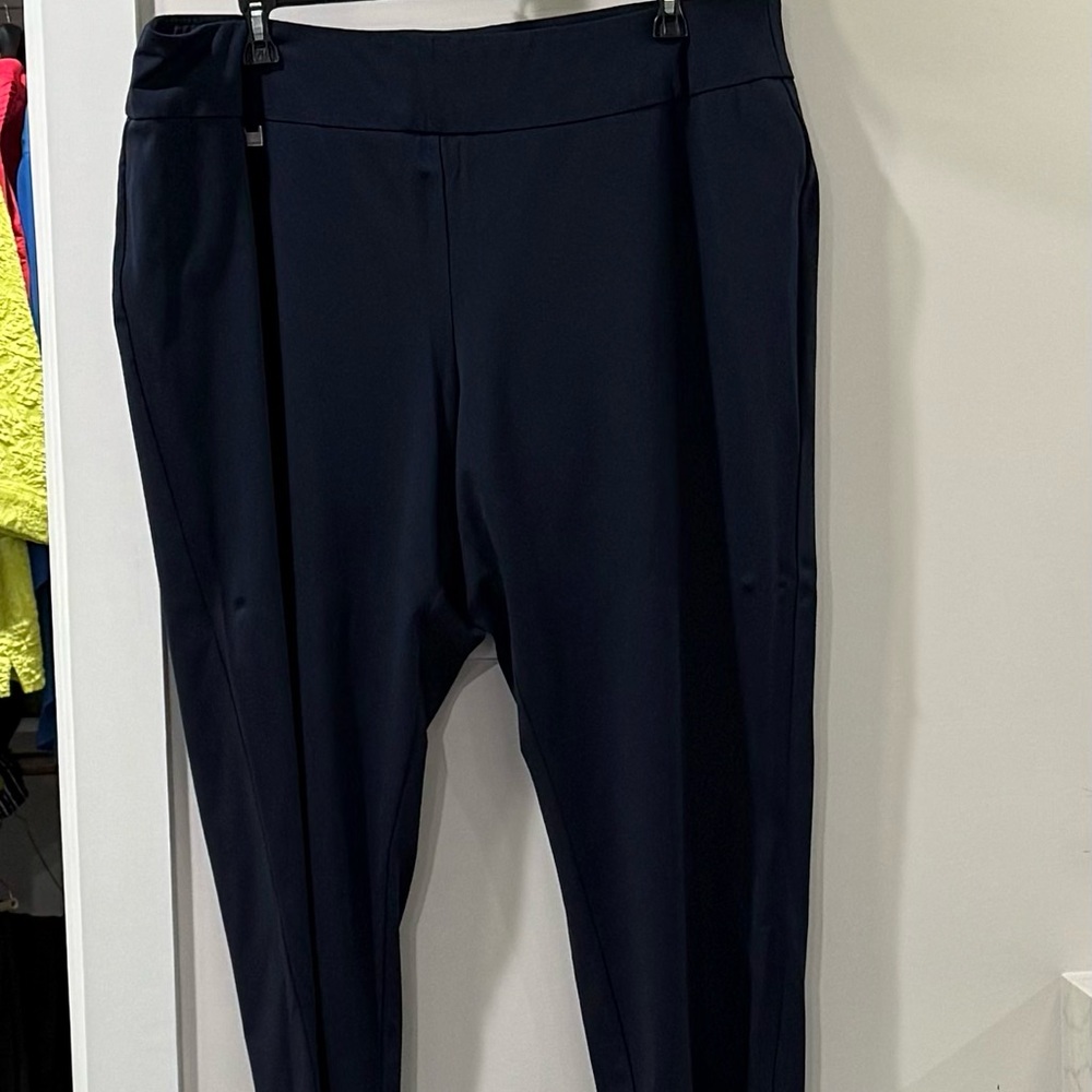 Slimsation By Multiples Navy Pants